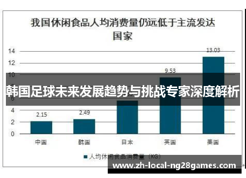 韩国足球未来发展趋势与挑战专家深度解析 韩国足球未来发展趋势与挑战专家深度解析