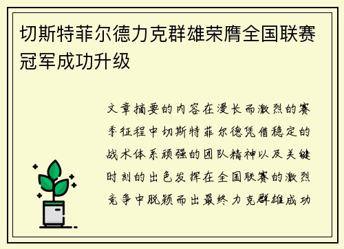 切斯特菲尔德力克群雄荣膺全国联赛冠军成功升级 切斯特菲尔德力克群雄荣膺全国联赛冠军成功升级